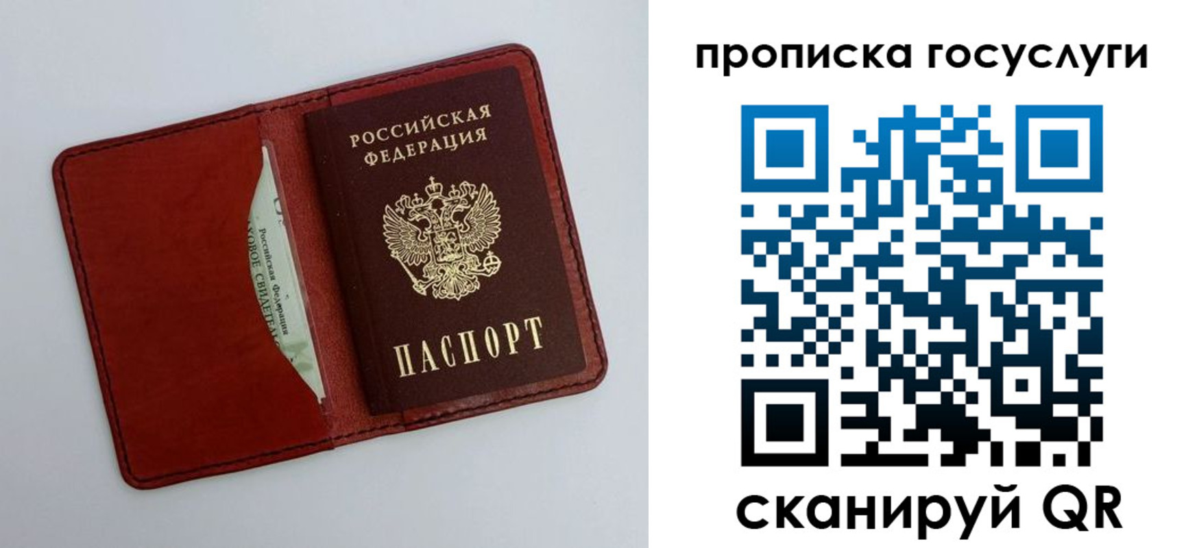 прописка паспорт в Петропавловске-Камчатском